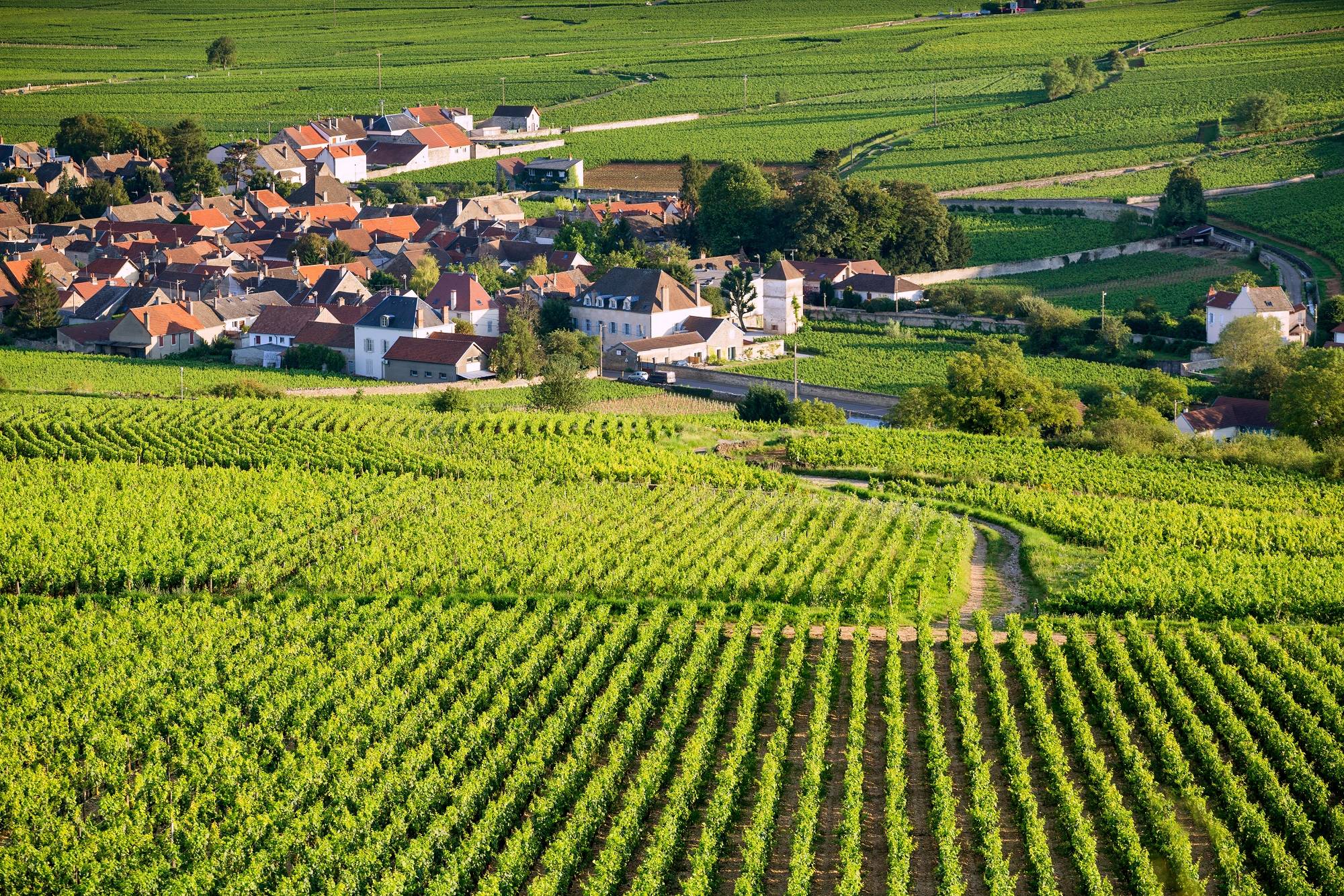 7-Day French & Spanish Flavors Loop Tour from Paris/Barcelona to Avignon and Bordeaux