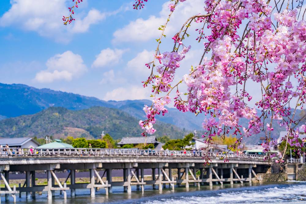 9-Day Contrasts of Japan Tour from Tokyo: Mt. Fuji Views, Kyoto Temples & Hiroshima History