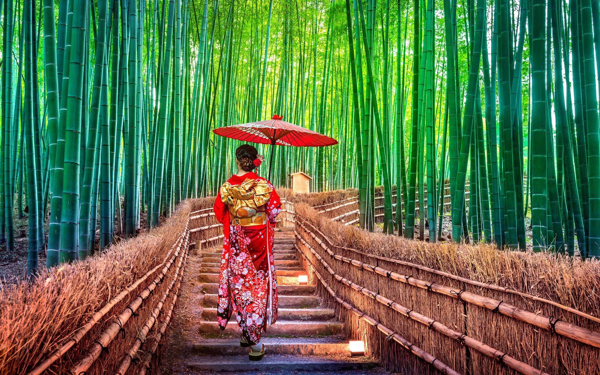 9-Day Central Japan Tour from Tokyo: Kawaguchiko, Toyota, Kyoto, Nagano, Ikaho | Breakfasts and Admission Included