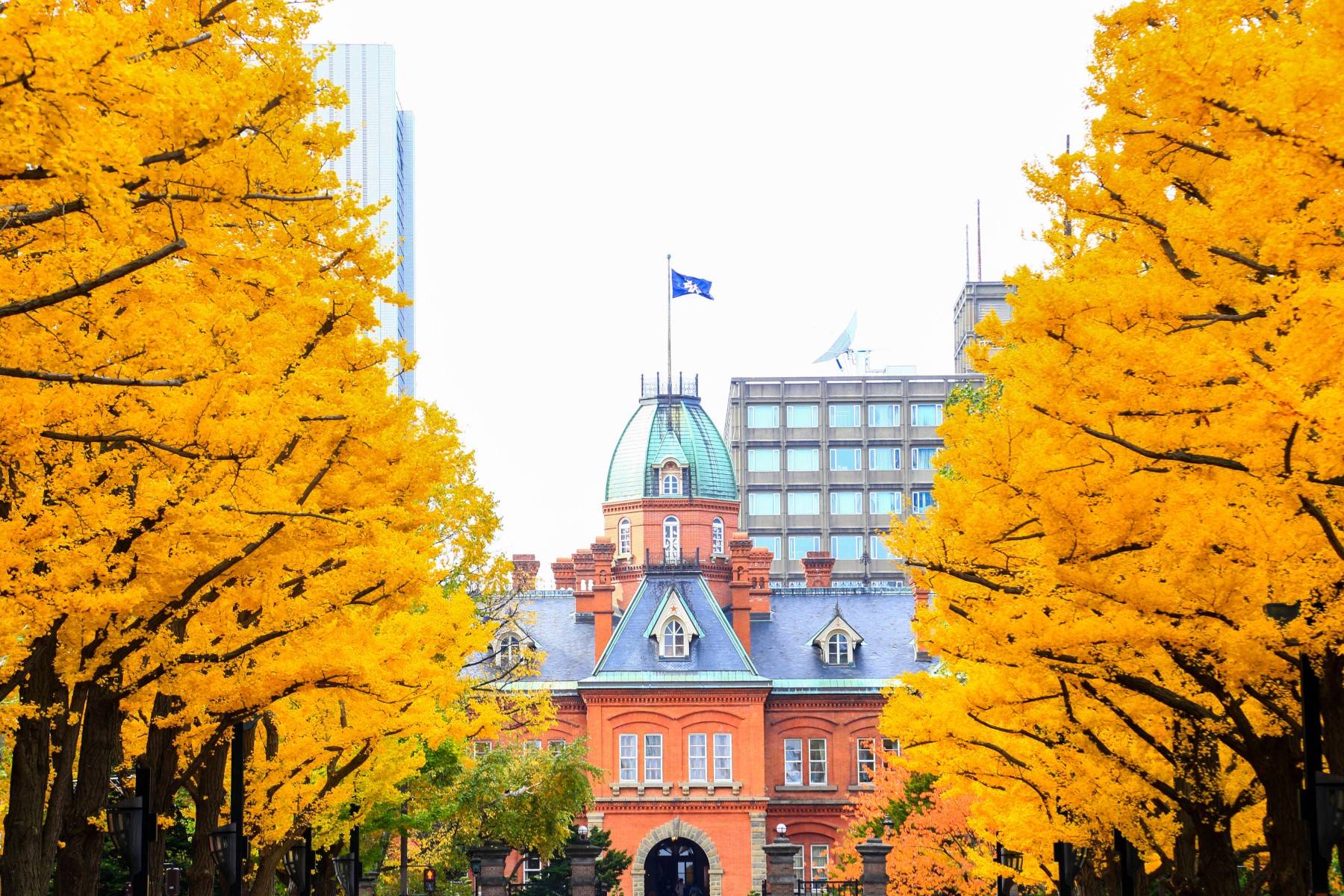13-Day Discover Japan End Sapporo Tour: Mount FUJI | Toyota | Kyoto**Airport Pick-up in Tokyo | Breakfasts and Admission Included**