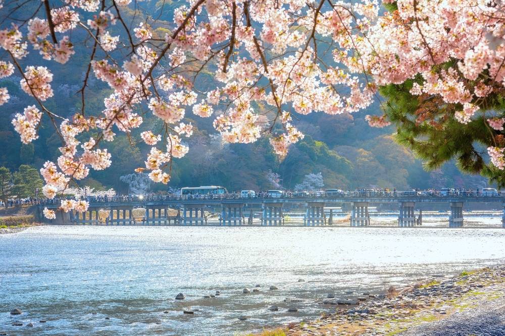8-Day Essential Japan Tour from Tokyo: Osaka, Kyoto and Kawaguchiko Highlights | Iconic Cultural Sites