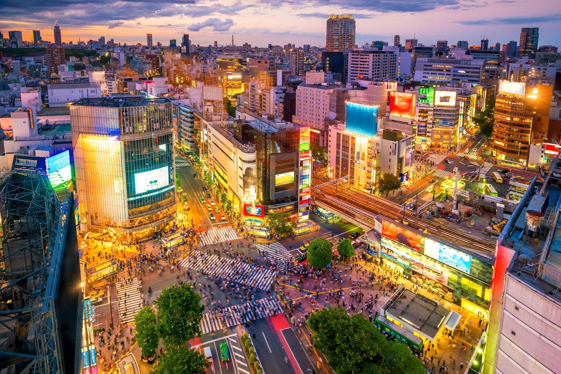 6-Day Tokyo, Kyoto and Alps Tour: Nagano | Nikko | Ikaho**Airport Pick-up in Tokyo | Breakfasts and Admission Included**