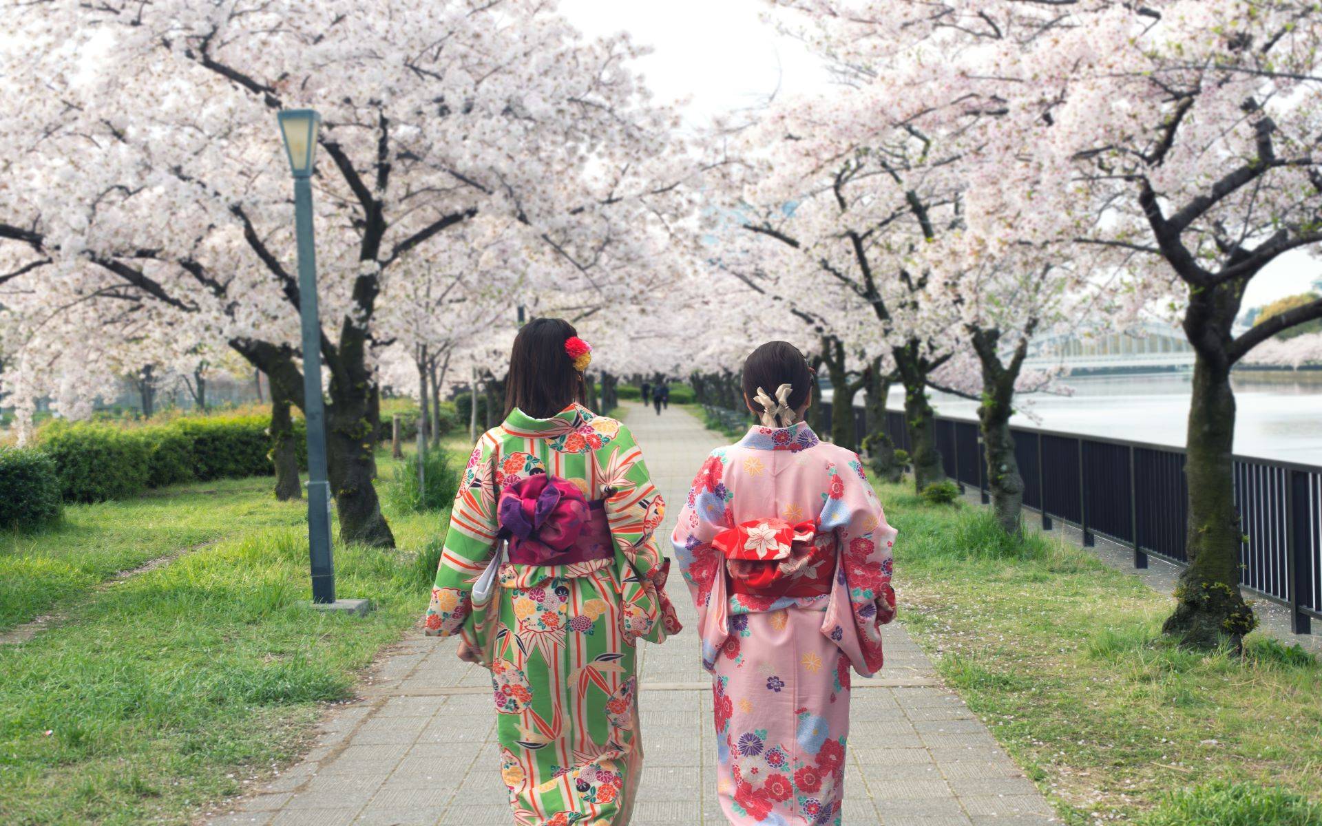 5-Day Tokyo, Kyoto and Osaka Tour: Okayama | Nara**Airport Pick-up in Tokyo | Breakfasts and Admission Included**