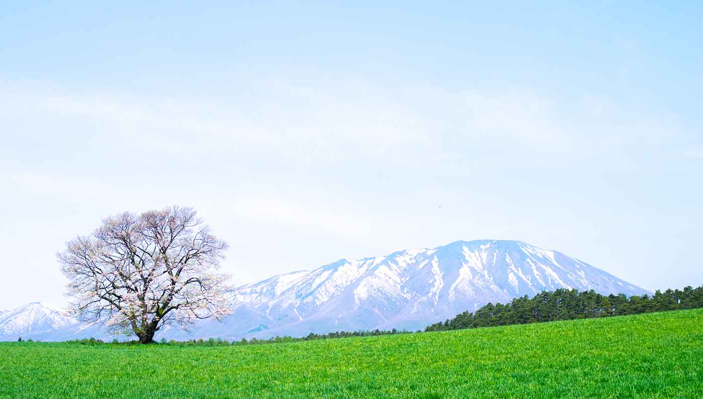 13-Day Traditional Japan and North of Japan Tour: Kyoto | Tokyo | Hakodate | Sapporo**Airport Pick-up in Osaka | Breakfasts and Admission Included**