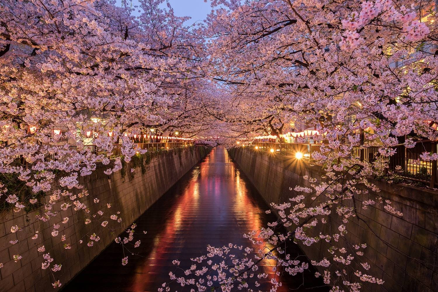 16-Day Lights of Japan and Korea Tour from Seoul to Tokyo: Jeonju, Busan, Fukuoka, Hiroshima, Kyoto | Breakfasts and Admission Included