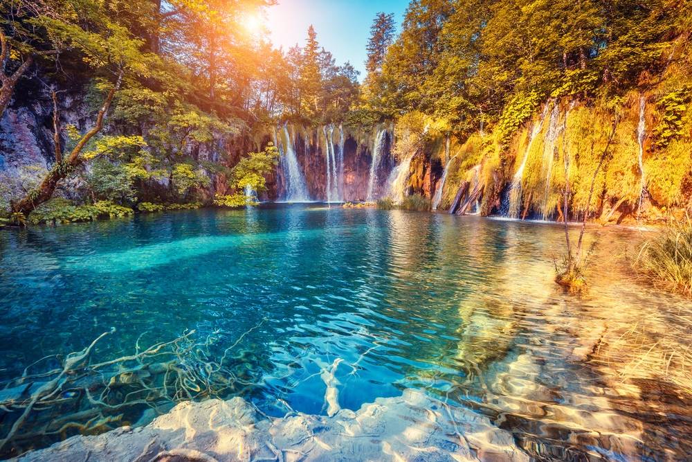 12-Day Parisian Adventure & German Charm & Balkan Delights from Paris to Prague, Budapest, Frankfurt
