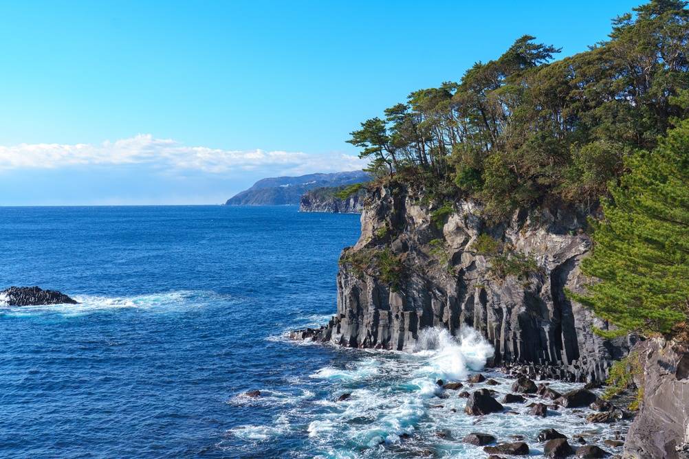 2-Day Tour to Mt. Fuji Izu Peninsula Shuzenji Temple: Mount Fuji 5th station, Lake Kawaguchi, Izu, Lovers bridge, Atami Vanilla Rose Garden