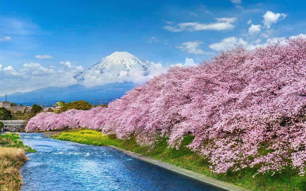 2-Day Mt. Fuji & Hakone Tour from Tokyo: Kamakura, Onsen & Scenic Views