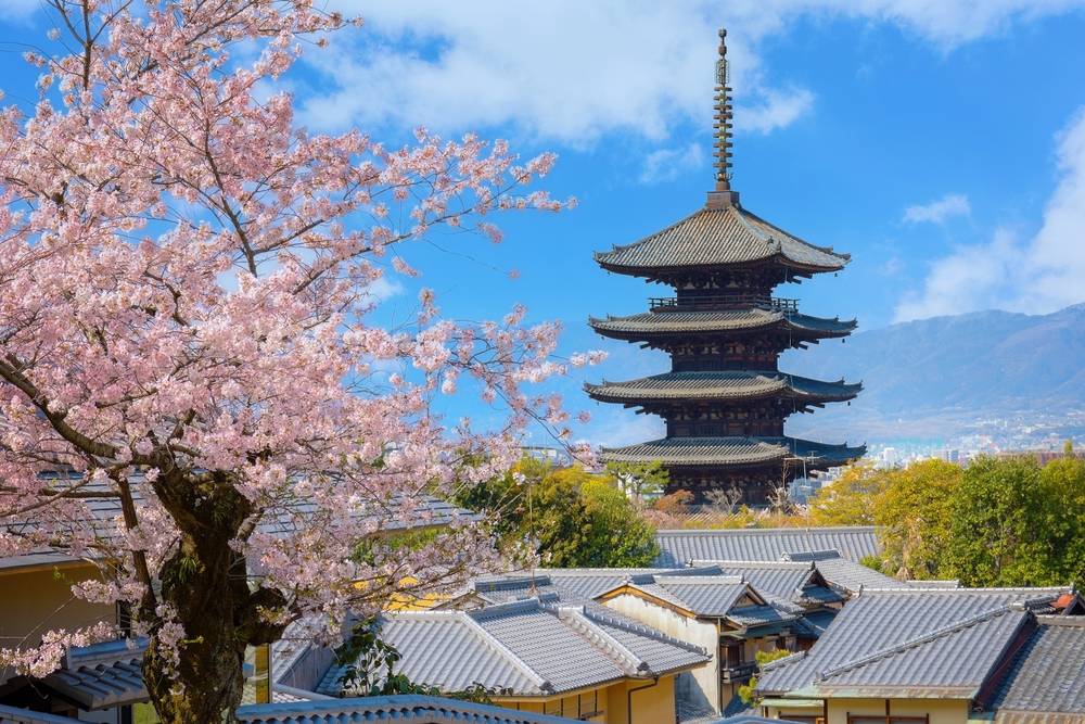 5-Day Japan Kansai Semi‑Independent Tour with Osaka City Hotel Stay: Osaka, Kyoto, Nara and Kobe: Kiyomizu Temple, Fushimi Inari Shrine and Arima Onsen丨1 Free Day