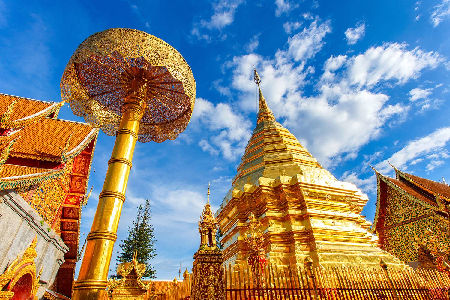 4-Day Chiang Mai & Chiang Rai Discovery Tour | Small Group Tour | Airport Transfer Included