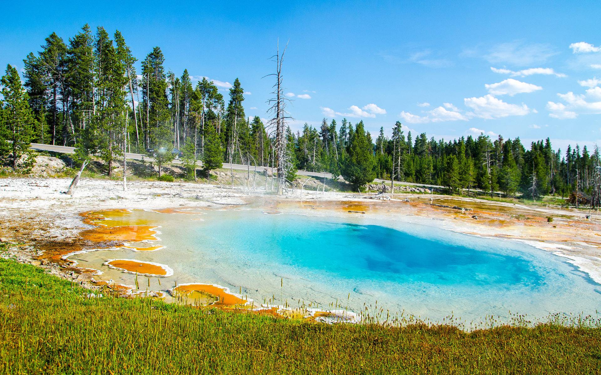 4-Day Yellowstone Private Tour with Airport Transfers from SLC: Grand Teton NP | Attraction Tickets & Service Fee Included 