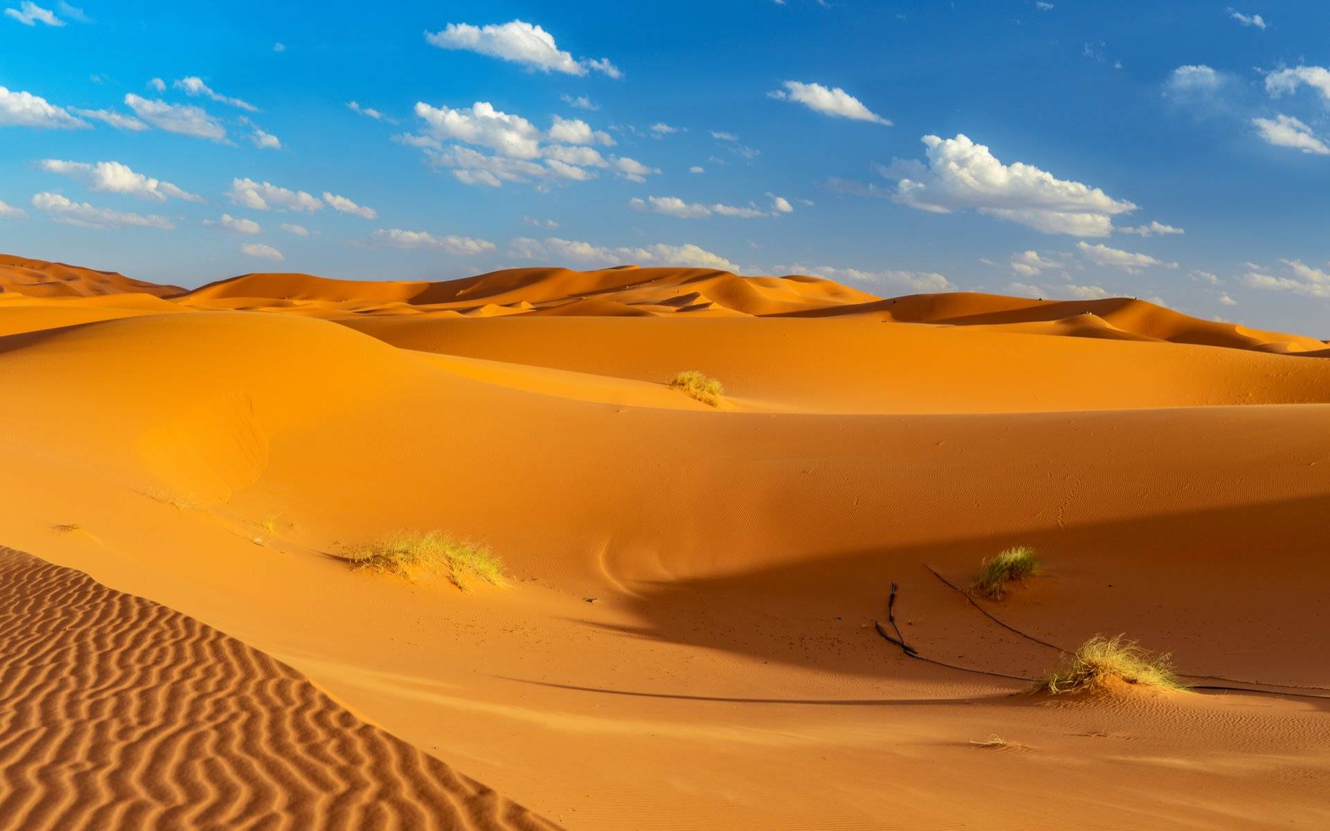 11-Day Afriaca Tour from Marrakesh to Lisbon: Ait Benhadou, Ourzazate, Boulmane Dades, Todgha, Khorbat, Erfoud, Bhalil, Fez, Tangier, Seville, Lisbon **Ticket admission** **9 meals**
