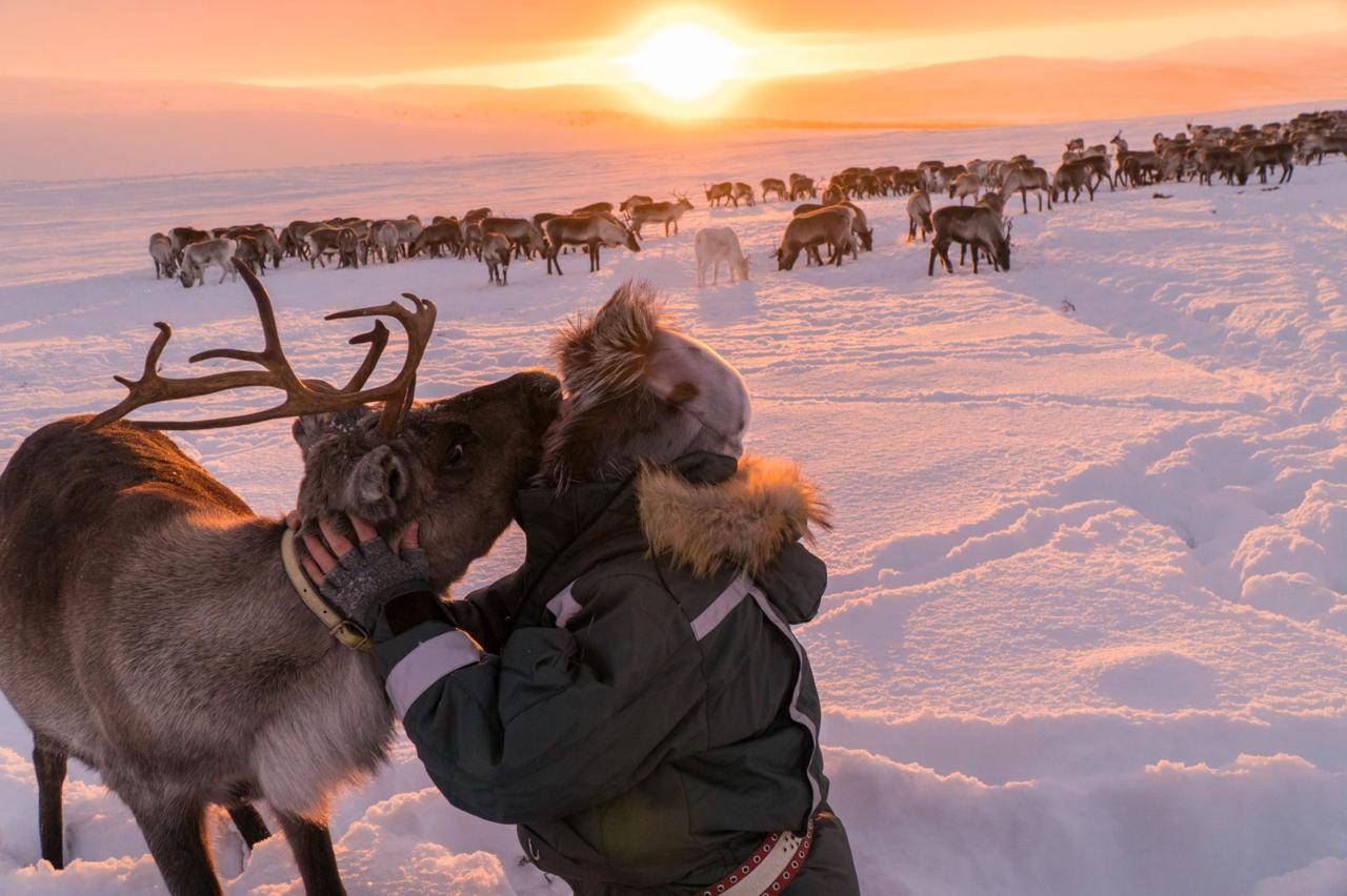 6-Day Norway Finland Premium Small Group Tour: Tromsø, Kilpisjärvi, Levi, Pyhä and Rovaniemi | Northern Lights | Delicious King Crab Lunch | Santa Claus Village | Cross the Arctic Circle Certificate