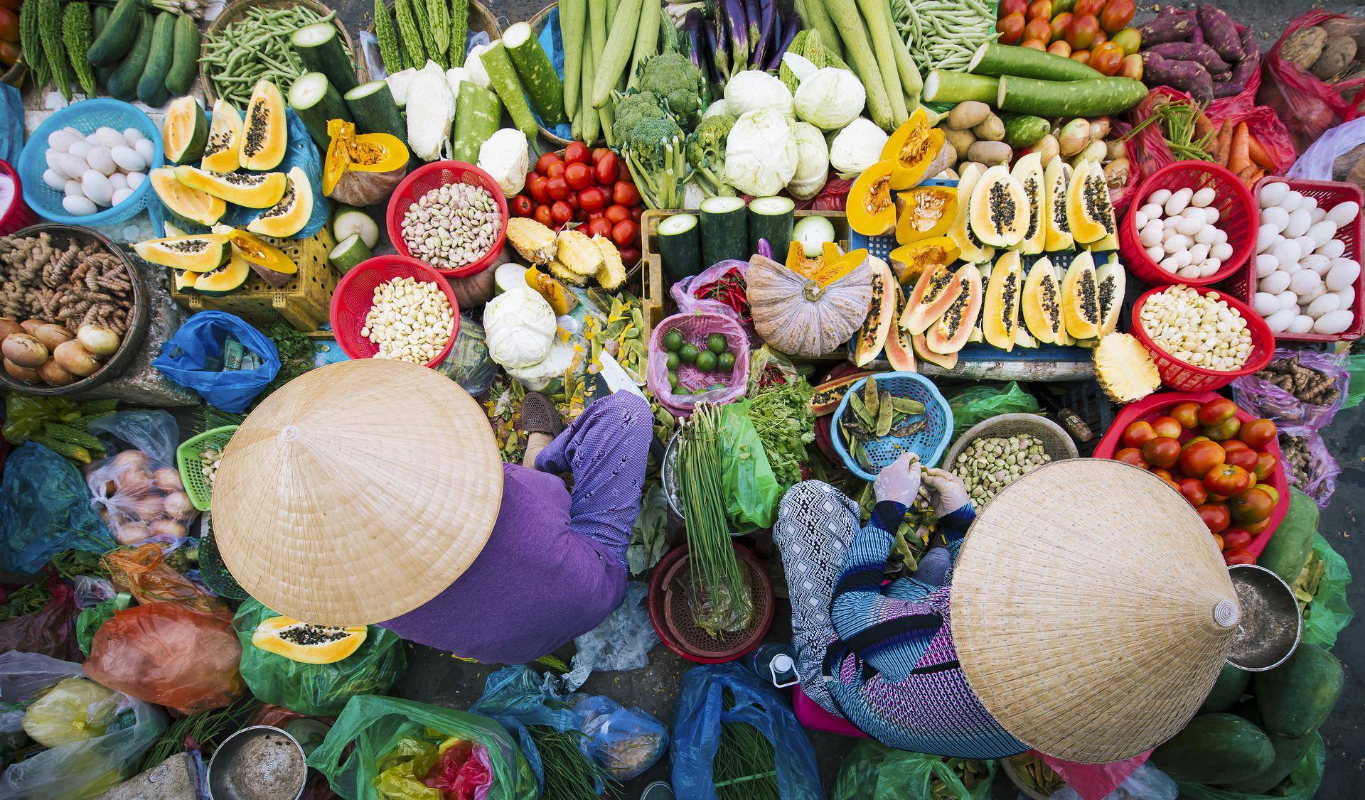9-Day Vietnam Experience Tour from Ho Chi Minh City: Mekong Delta, Tra Que Vegetable Village, Halong Bay and Hanoi | Service Charges and Government Tax Included | Meals Mentioned Included