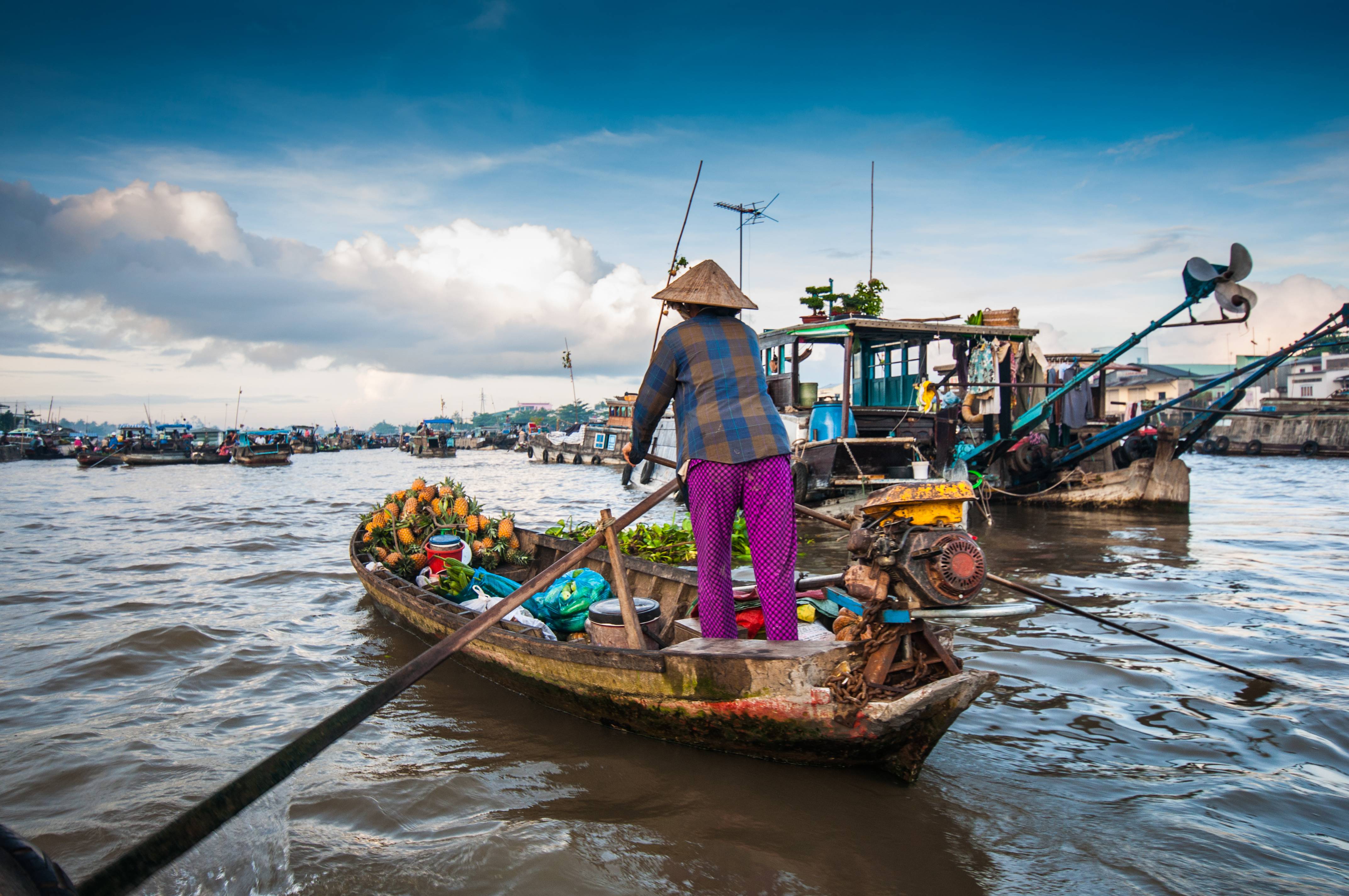 11-Day Classic Vietnam Tour from Ho Chi Minh City: Mekong Delta, Hoi An and Halong Bay | Meals Mentioned Included