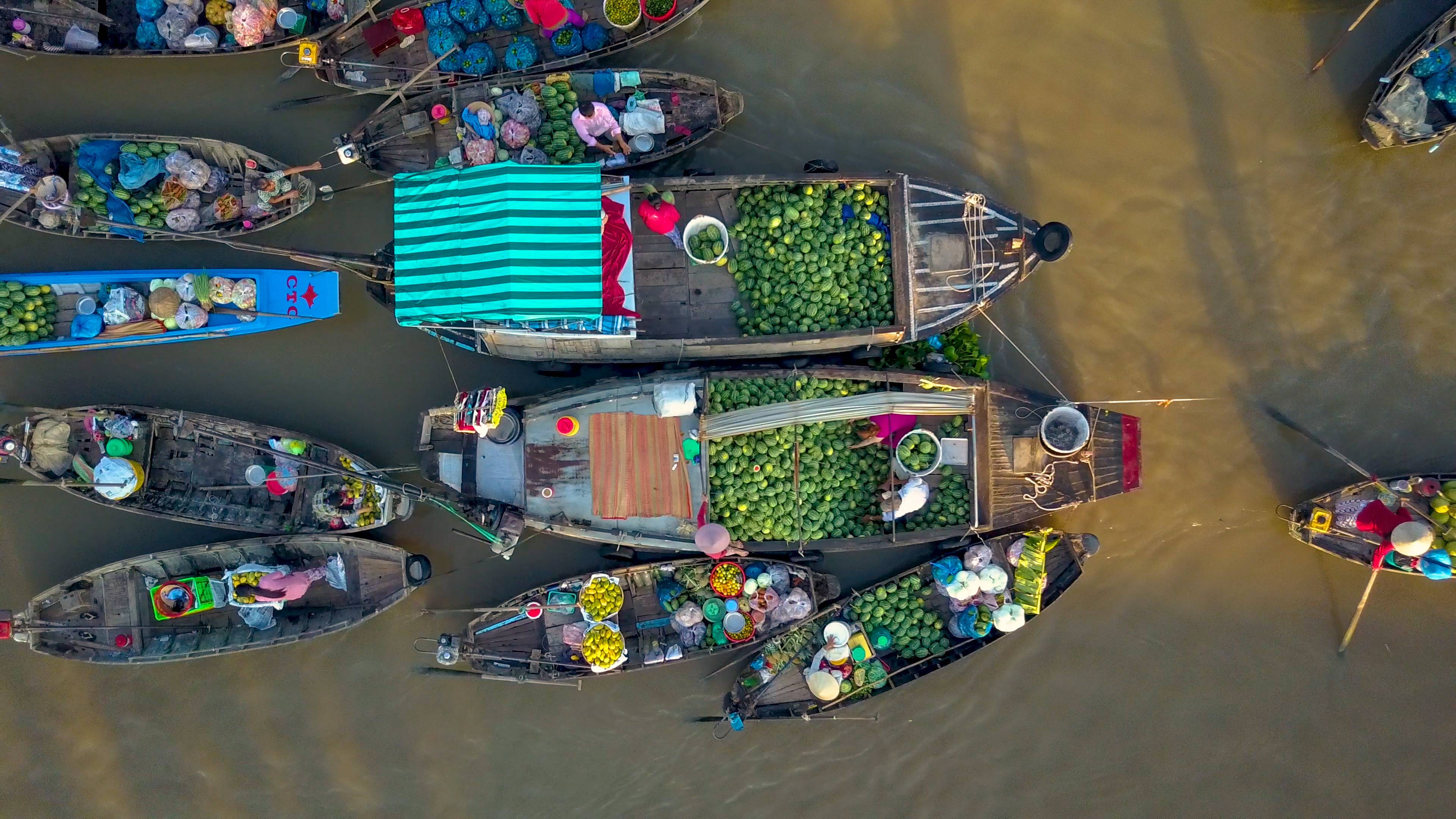 7-Day Vietnam at Glance Tour from Hanoi: Ninh Binh, Halong Bay and Mekong Delta | Service Charges and Government Tax Included | Meals Mentioned Included