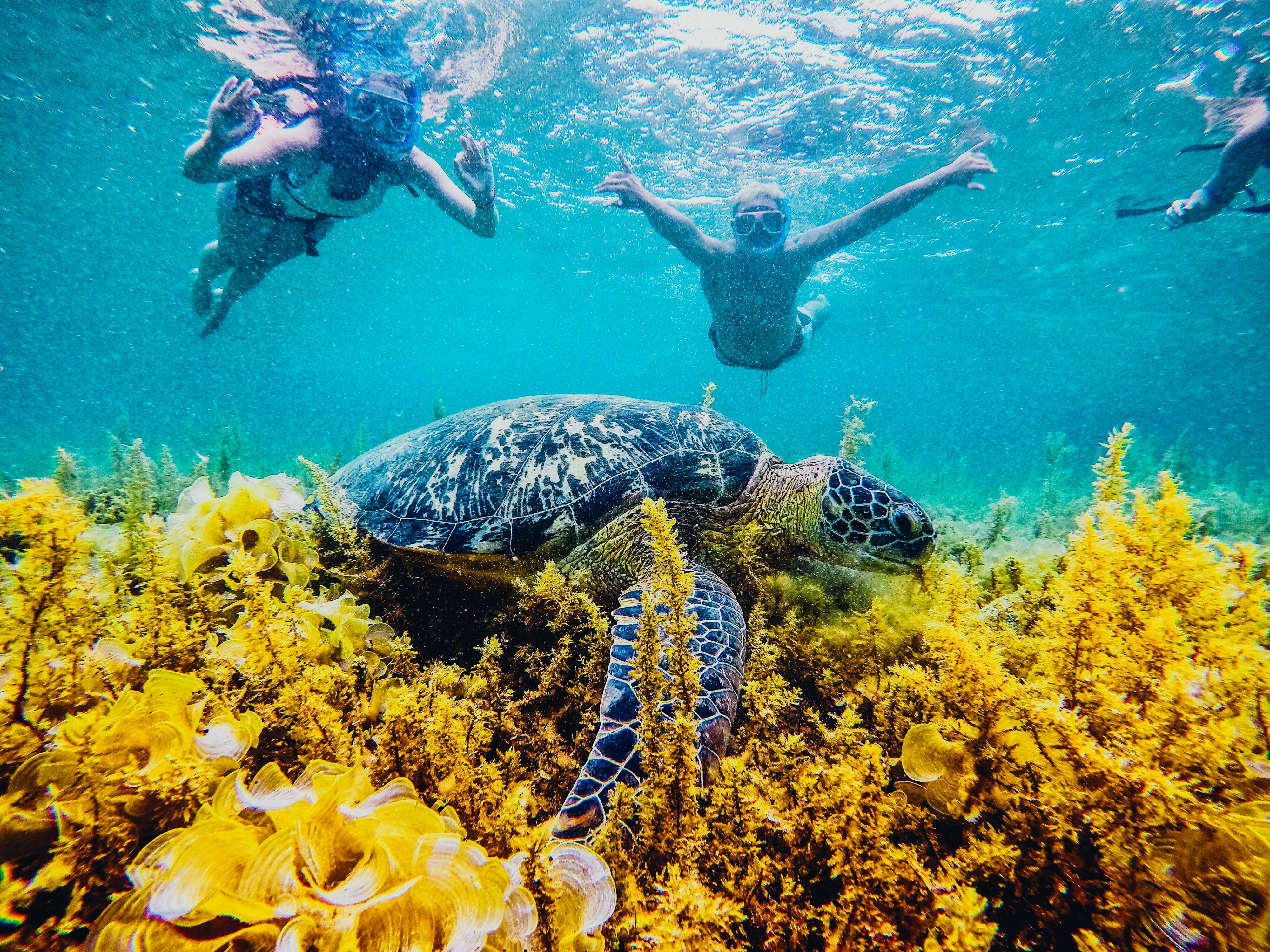 8-Day Philippines East Tour from Cebu: Moalboal and Boracay Island**Meals and Entrance Mentioned Included**