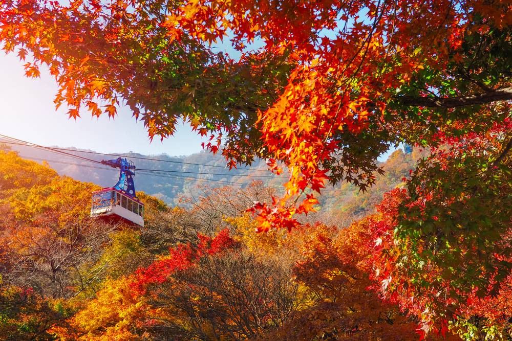 3-Day Eastern Course Tour from Busan: Gyeognju, Andong, Pyeongchang and Mt. Sorak