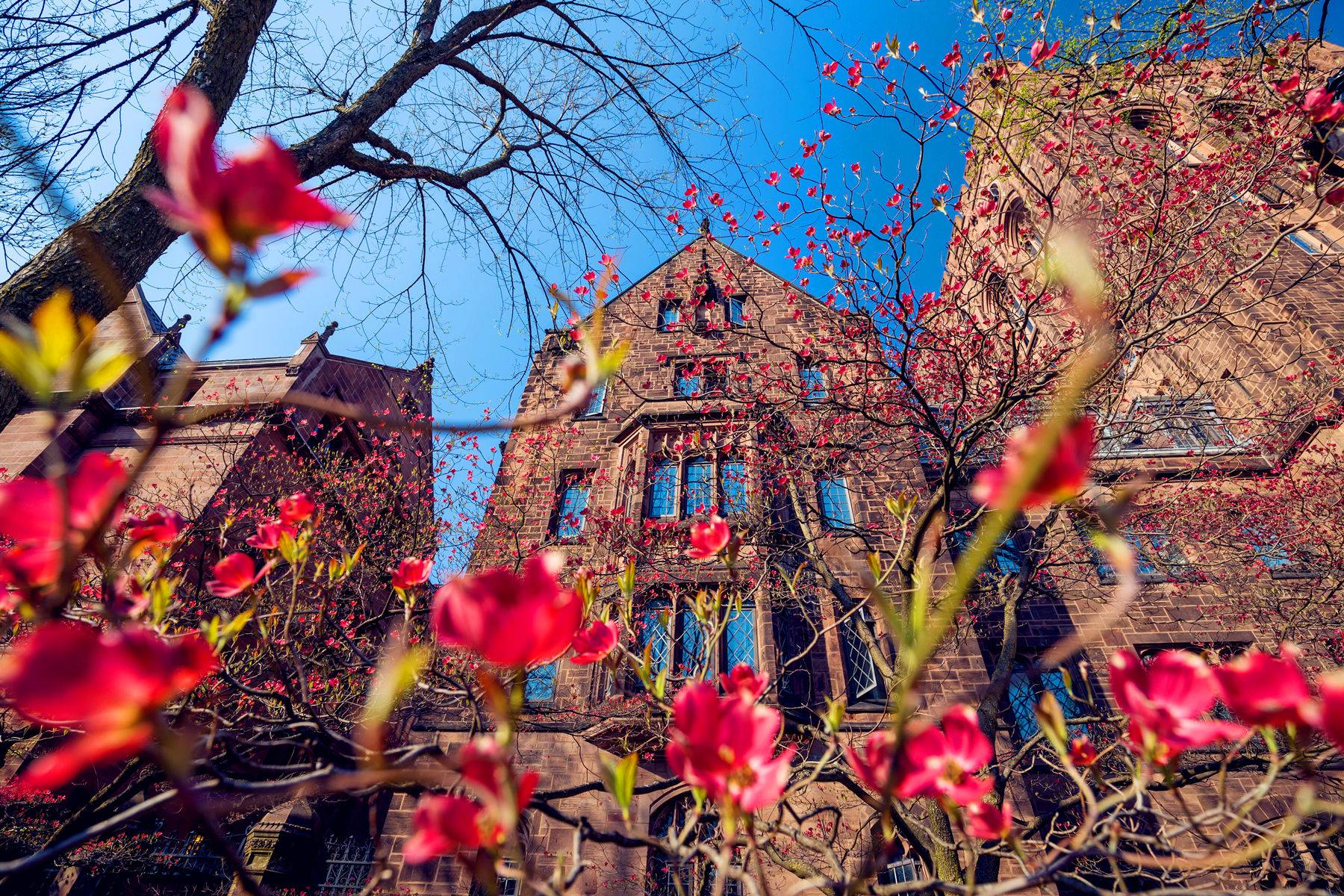 5-Day US East Coast Tour from Toronto: Boston, New York, Philadephia and Washington D.C