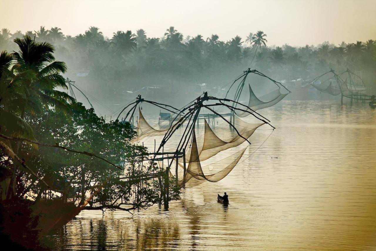 8-Day Best of Kerala Small Group Tour from Kochi: Munnar, Periyar, Alleppey and Kumarakom