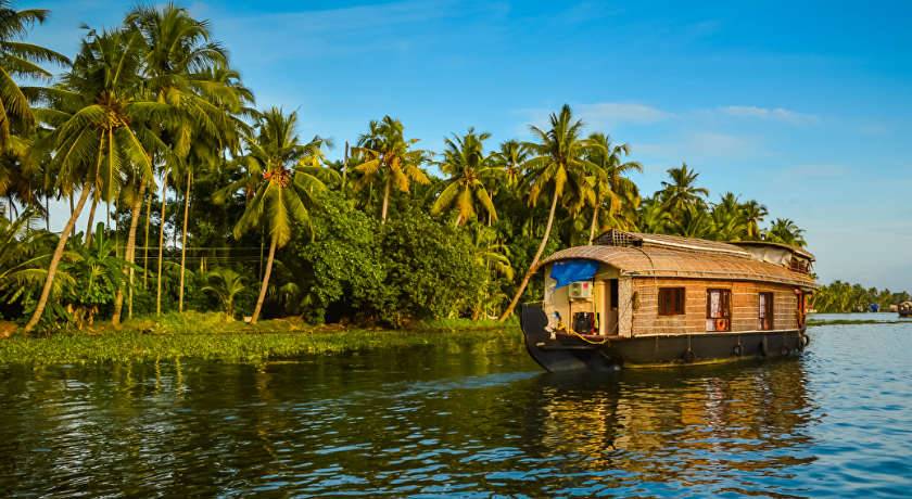 7-Day Amazing Kerala Tour from Kochi: Munnar, Periya, Kumarakom, Alleppey | Eravikulam National Park | Periyar Wildlife Sanctuary