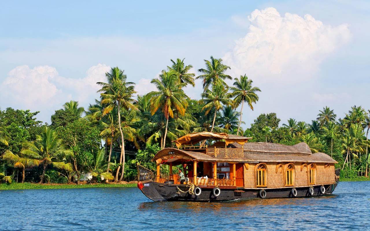 22-Day Premium North and South India Small Group Tour from New Delhi: Jaipur, Ranthambore, Agra, Varanasi, Madurai, Munnar, Alleppey and Kochi