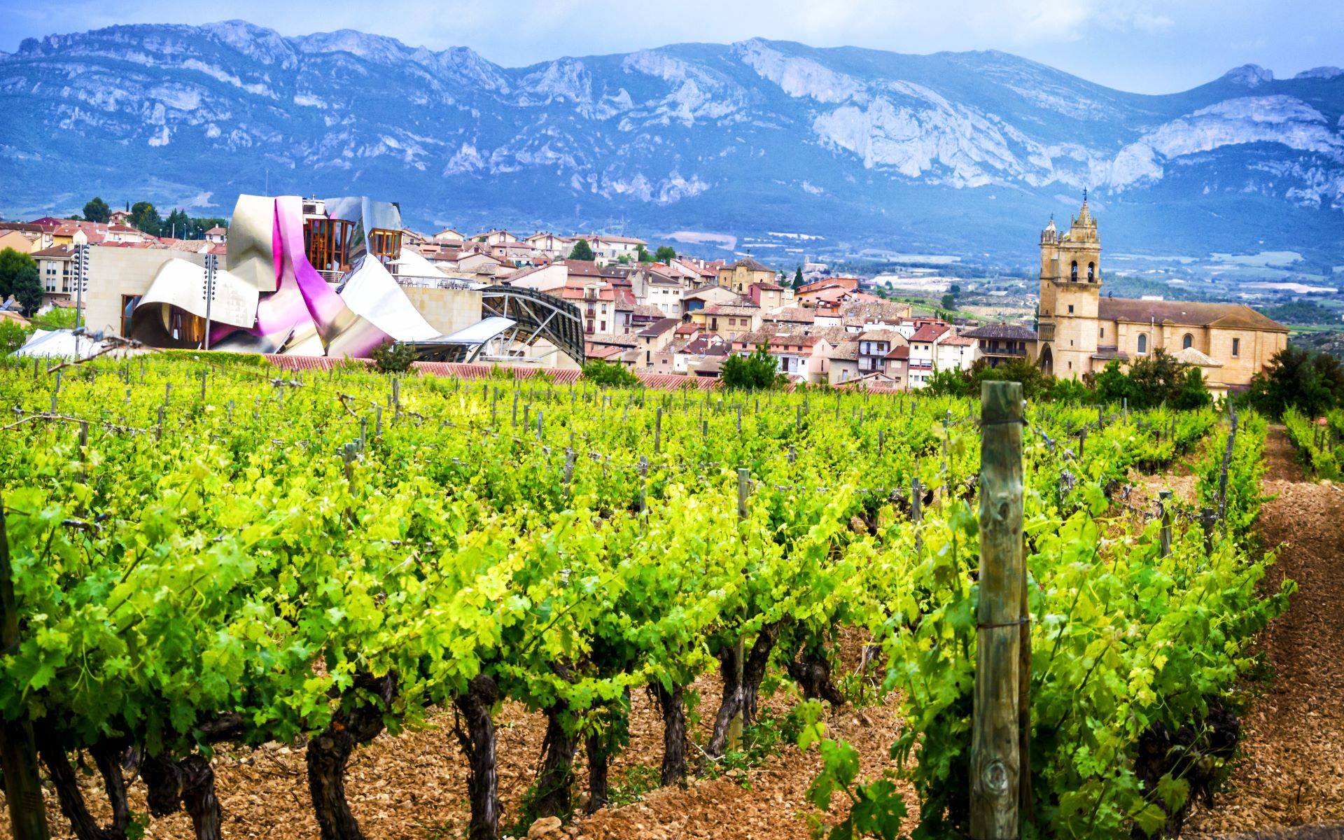 13-Day Spanish Ole Tour from Madrid