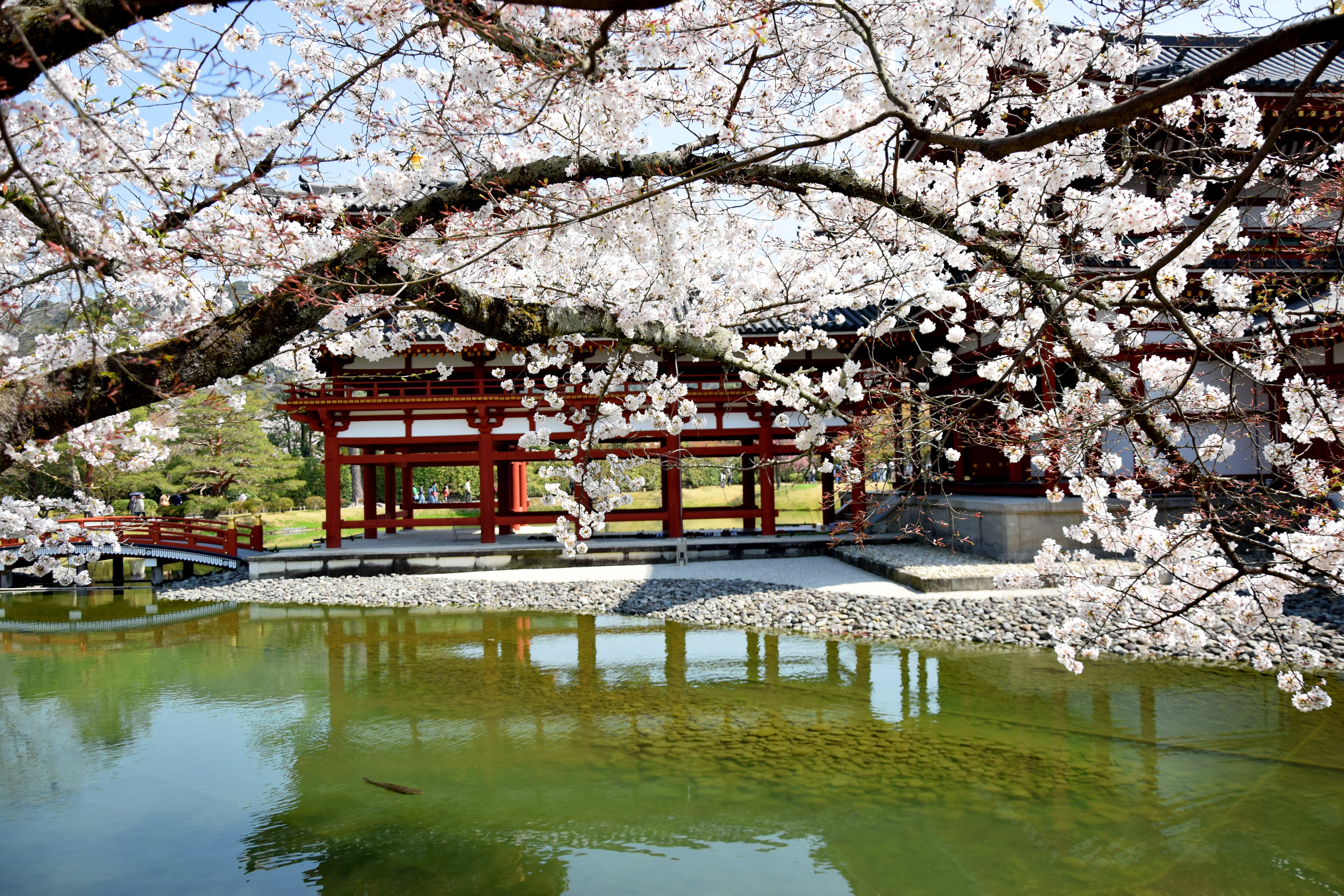 12-Day Highlights of Japan Tour from Tokyo: Mt. Fuji, Hakone, Takayama, Shirakawa-go, Kanazawa, Kyoto and Osaka