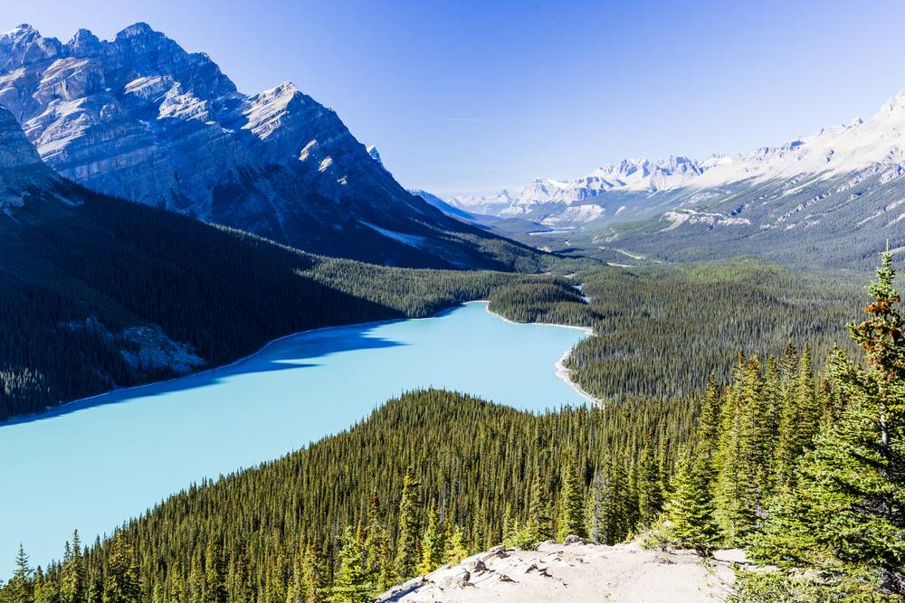 4-Day Canadian Rockies Summer Special Tour from Calgary/Banff: Banff, Jasper and Yoho National Park | 2-Night Stay in Calgary Hotel