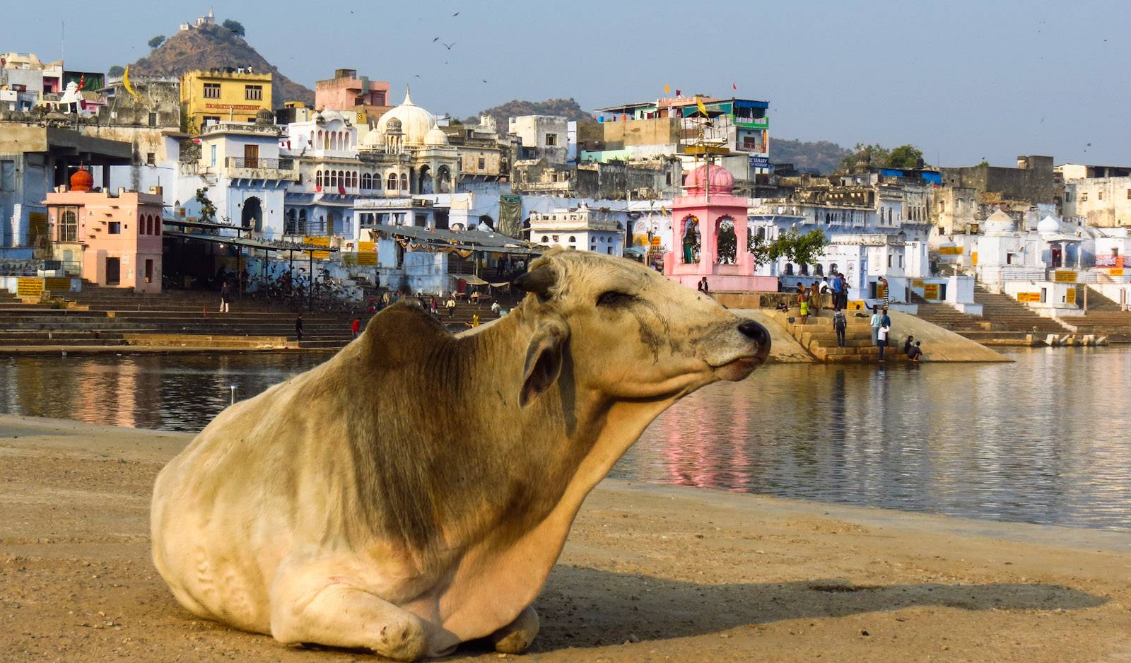 Rajasthan Tour with Agra - 17 Days