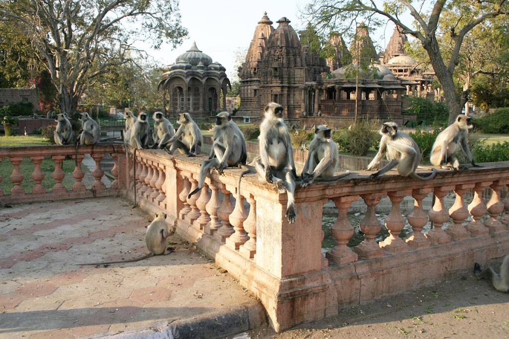 Rajasthan Adventure Tour - 13 Days