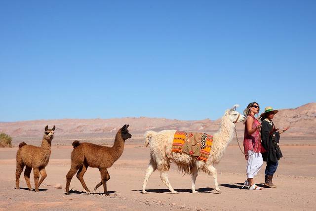 15-Day The Essential of the Altiplanic Deserts Tour from Buenos Aires: Salta, Cafayate, Purmamarca, Atacama, Villamar and Colchani