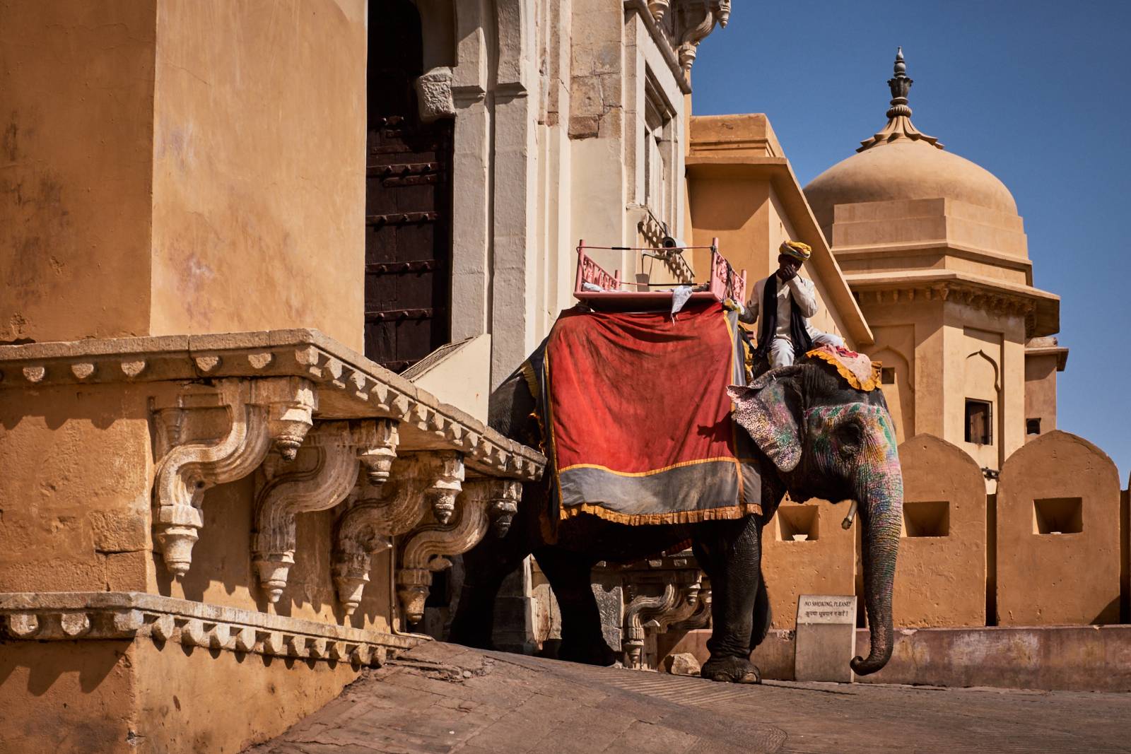Rajasthan with Nepal Tour - 17 Days