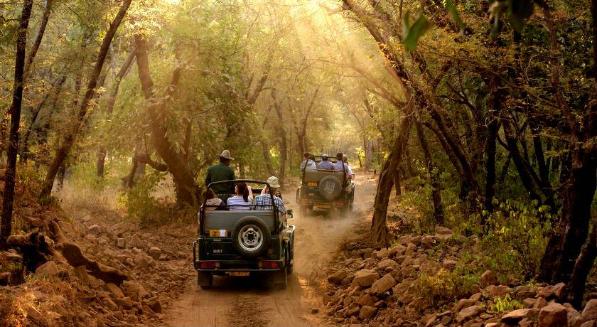 9-Day Golden Triangle Tour with Ranthambore from New Delhi: Agra, Fatehpur Sikri and Jaipur
