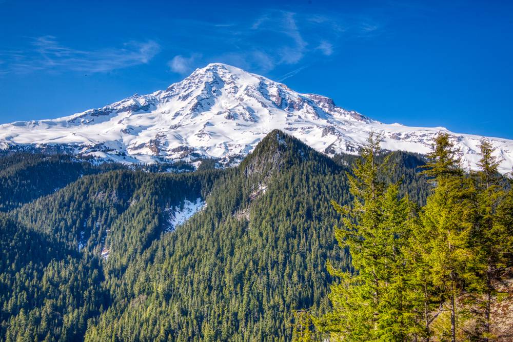 5-Day Seattle Tour: Seattle Pick-up and Four Days Seattle Free Travel | (Optional Olympic National Park / Mount Rainier / Snoqualmie Falls / Vancouver City Tour / Seattle City Tour) | Hotel Breakfasts