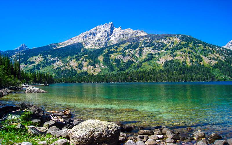 4-Day Luxury Boutique Yellowstone Tour from Salt Lake City【Max 10 Pax Small Group】: Great Salt Lake, The Grand Prismatic Hot Spring, Old Faithful Geyser, Yellowstone Bear World