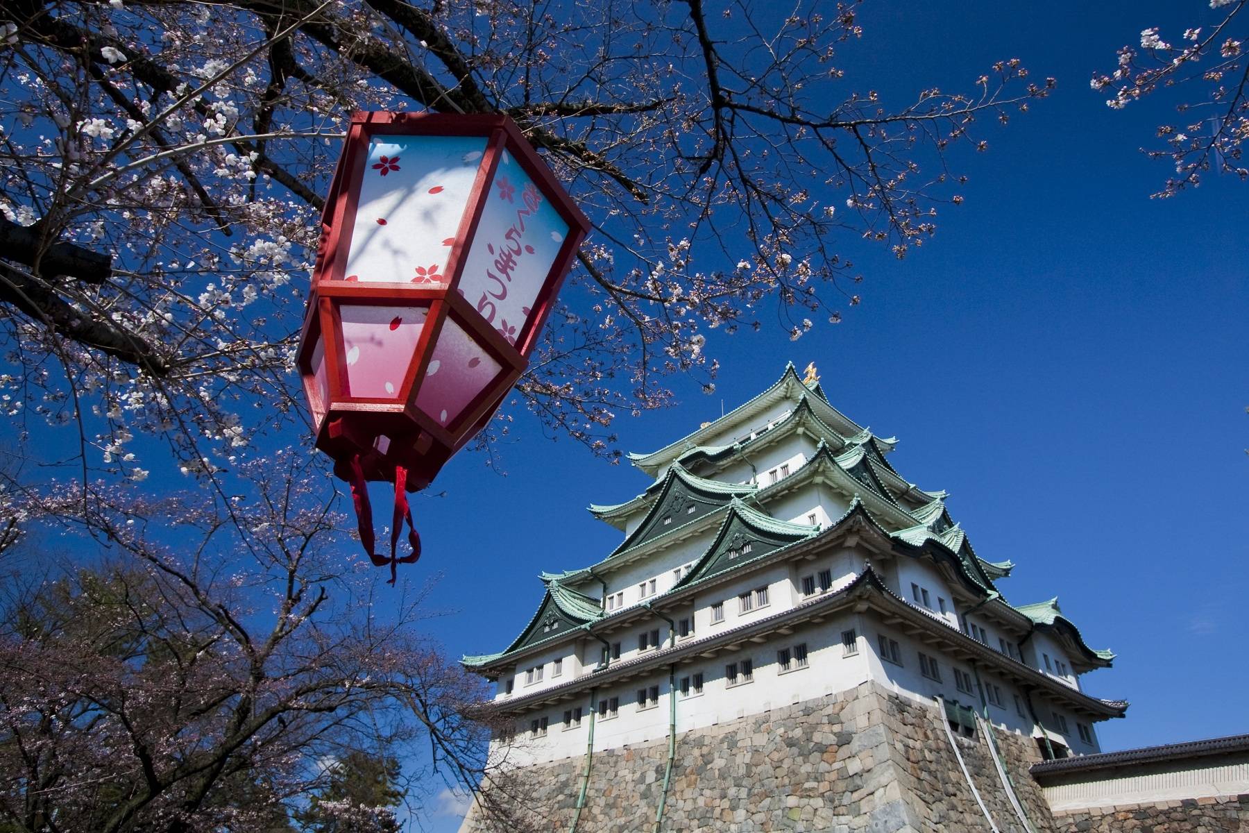 7-Day Japan Tour from Kanto to Kansai: Nagoya Castle, Nara Deer Park, Kinkakuji Temple, Fushimi Inari Taisha Shrine