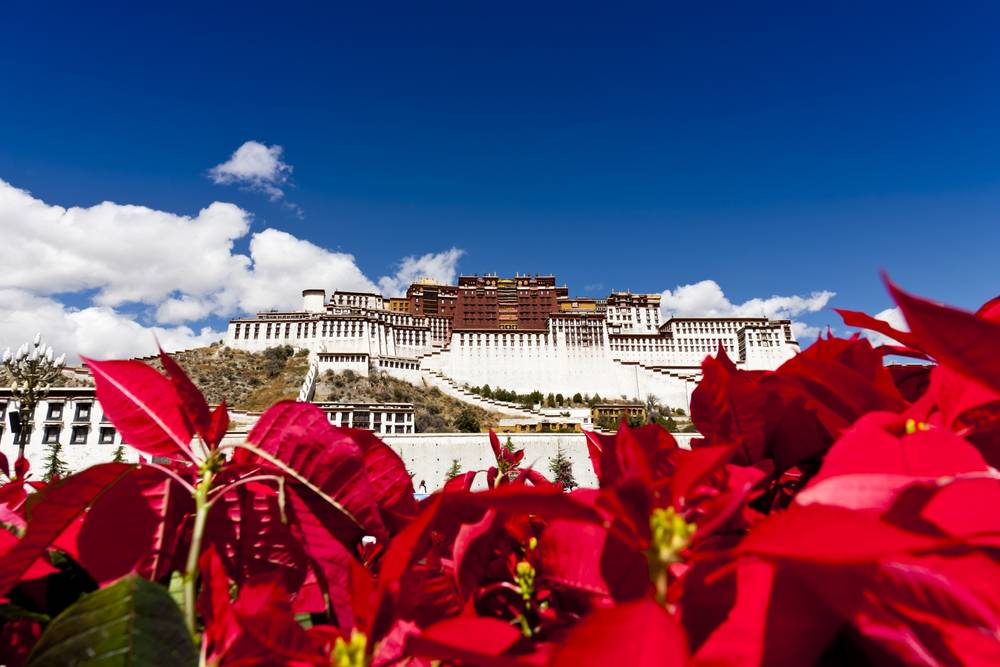 13-Day Tibet Spiritual Tour from Lhasa to Kathmandu: Shigatse, Saga, Tarchen and Gyirong | Everest Base Camp, Lake Manasarovar and Mount Kailash Kora