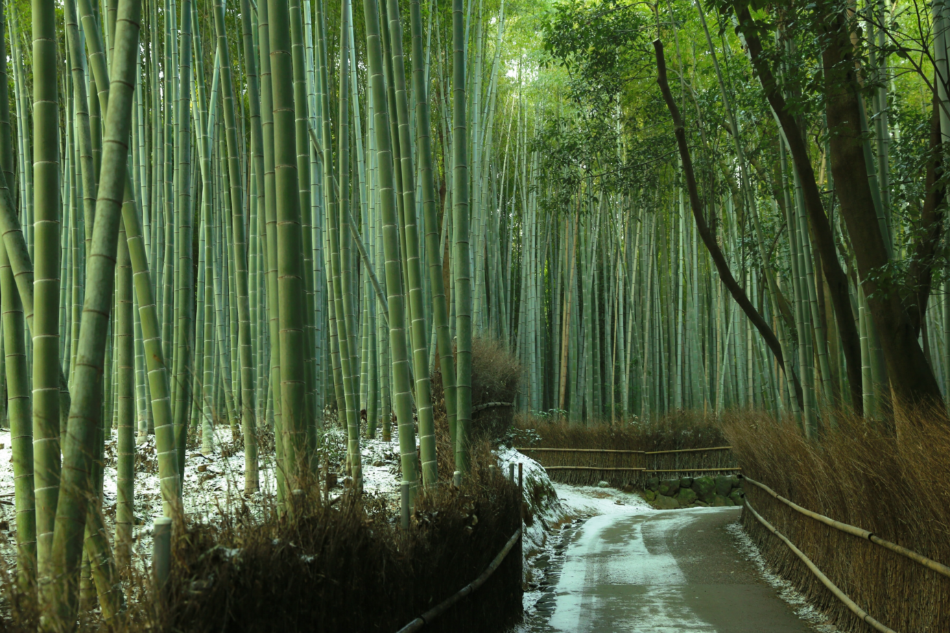 14-Day Japan Tour from Tokyo to Hiroshima: Hakone, Takayama, Kyoto, Osaka and Nara