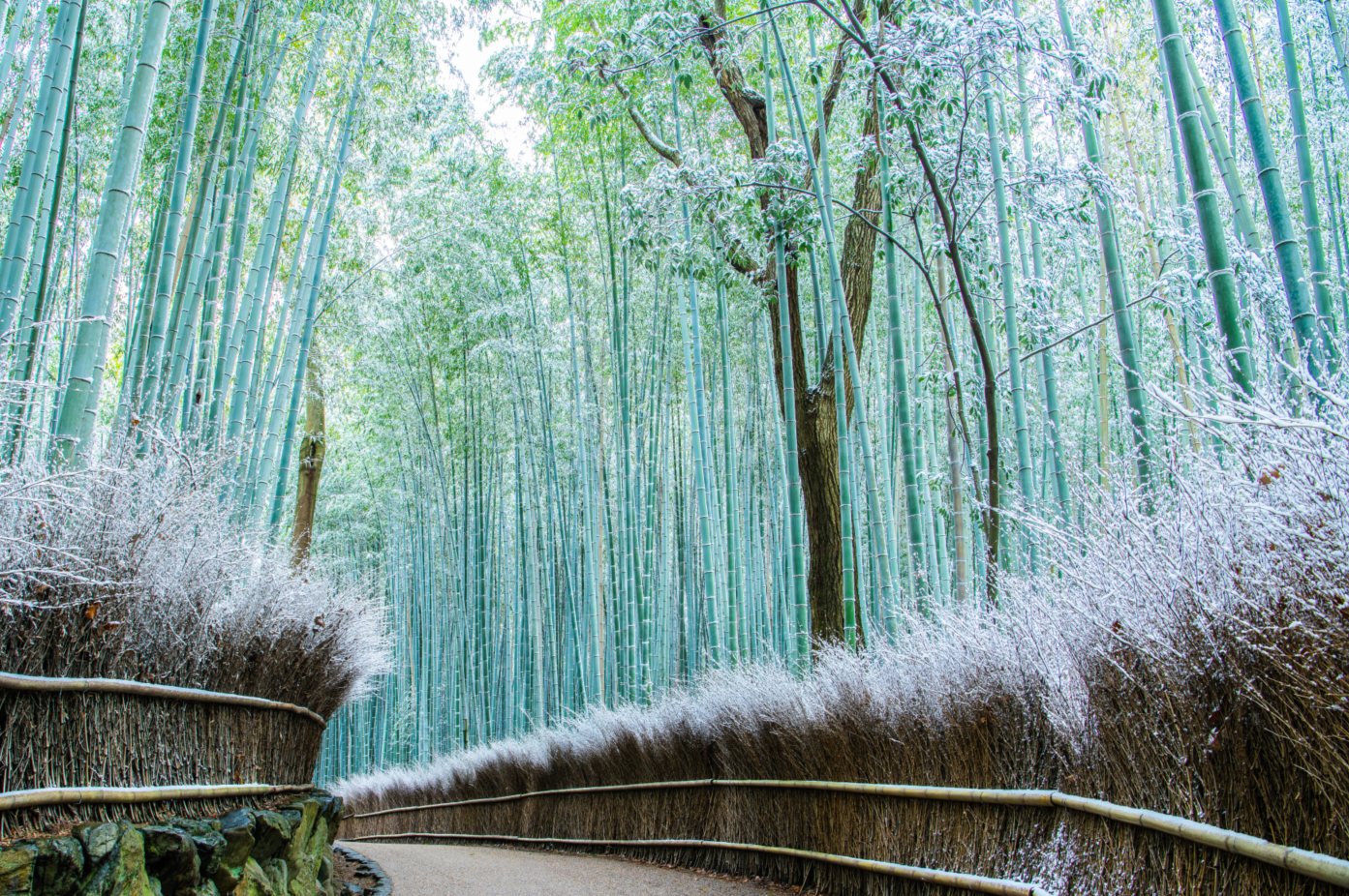10-Day Japan Tour from Tokyo to Osaka: Hakone, Takayama and Kyoto