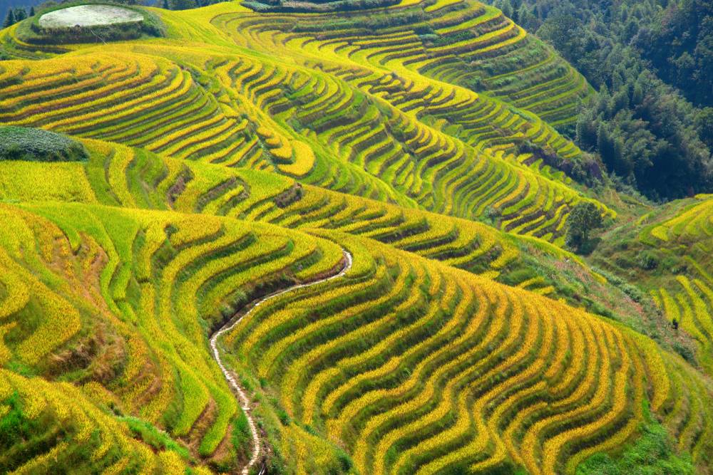 4-Day Guilin Marvels and Cultural Excursion Private Tour: Yangshuo and Longsheng**24-Hour Free Airport Transfer**