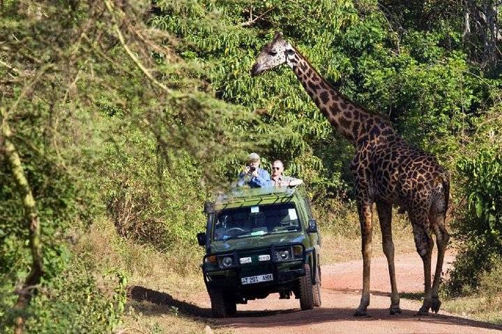 6-Day Tanzania Serengeti Wildebeests Migrations Small Group Tour from Arusha: Tarangire & Serengeti & Lake Manyara National Parks and Ngorongoro Crater | Mid-Range Lodging