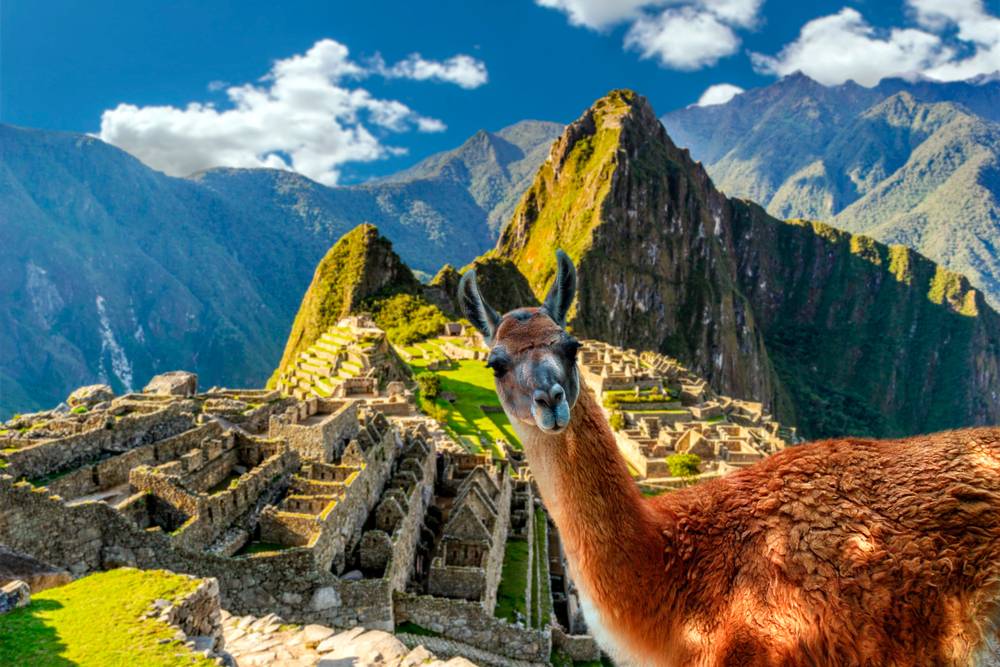 3-Day Cusco at a Glance Tour from Cusco: Coricancha, Sacsayhuaman & Machu Picchu | Round Trip Train to Machu Picchu