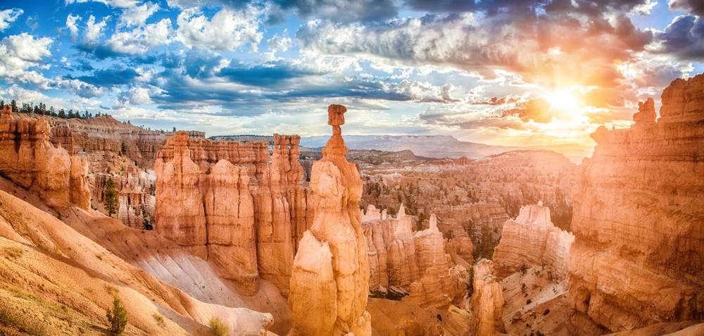 13-Day USA Road Tour from San Francisco w/ Glamping【Max 16 Pax Small Group】: Yosemite National Park, Grand Canyon & Venice Beach