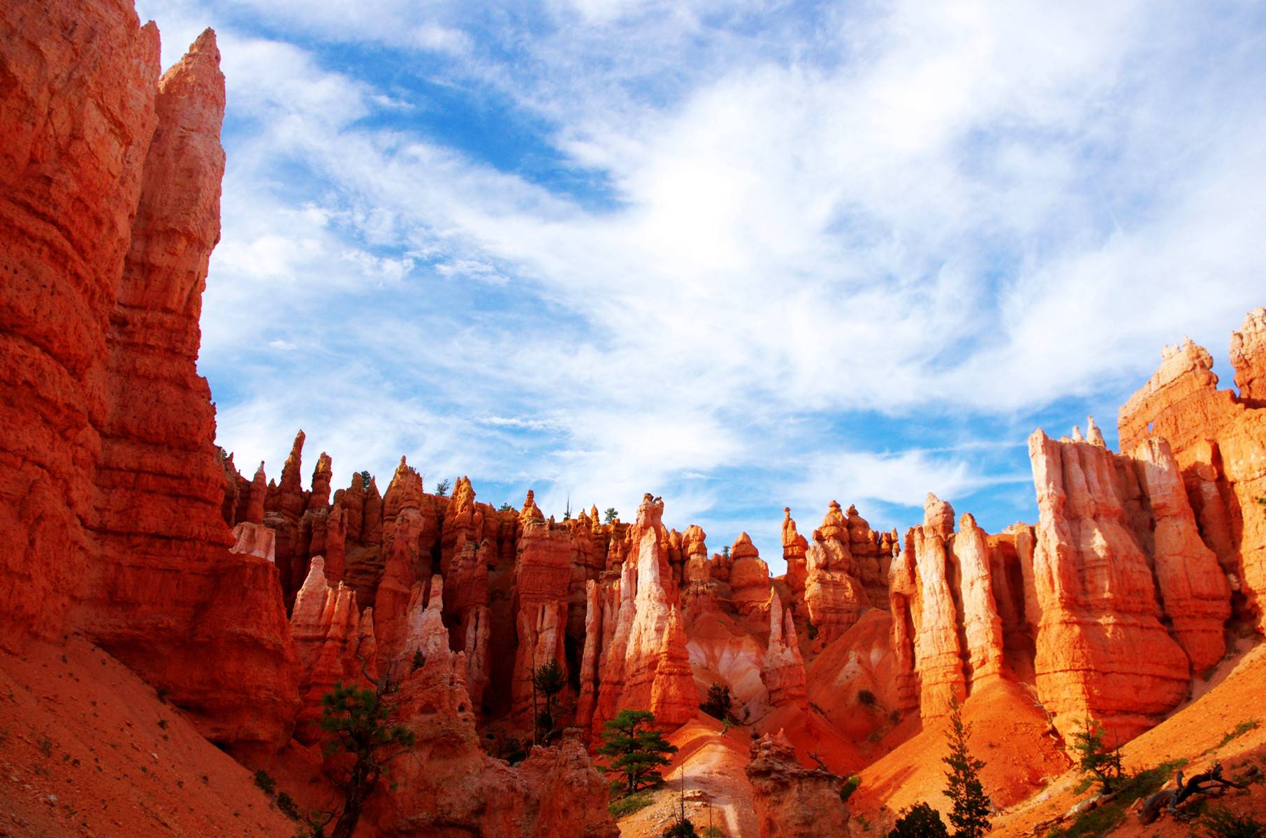 10-Day USA Road Tour from Los Angeles w/ Glamping【Max 16 Pax Small Group】: Joshua Tree National Park, Grand Canyon &  Death Valley