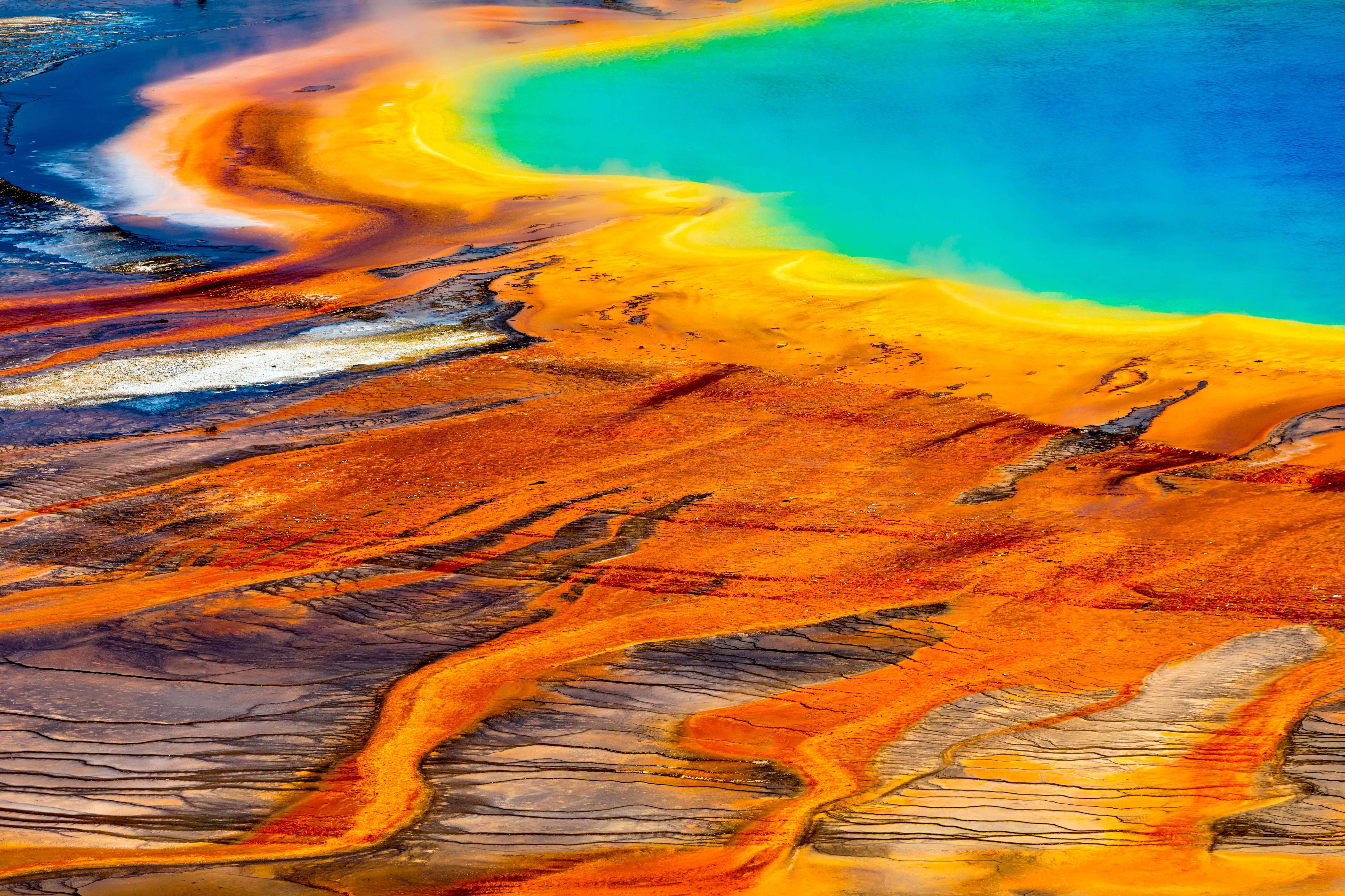 7-Day Iconic Wildlife of Yellowstone Tour from Jackson: Jenny Lake, Lamar Valley, Tribal Heritage Center | Max 13 Pax Small Group