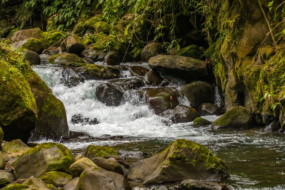 10-Day Costa Rica Tour from San José: Monteverde and Santa Teresa**Meals and Entrance Mentioned Included**