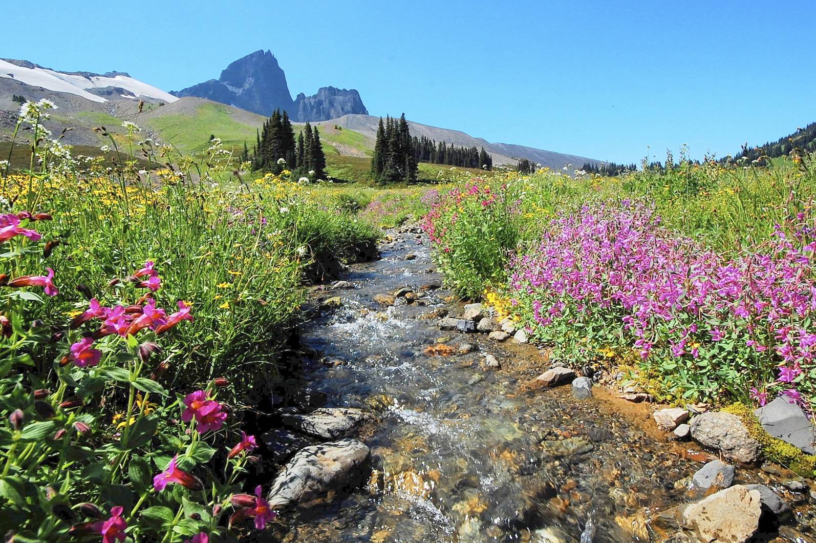 12-Day Discover the Canadian Rockies Westbound Tour from Calgary【Max 16 Pax Small Group】: Banff, Jasper and Victoria
