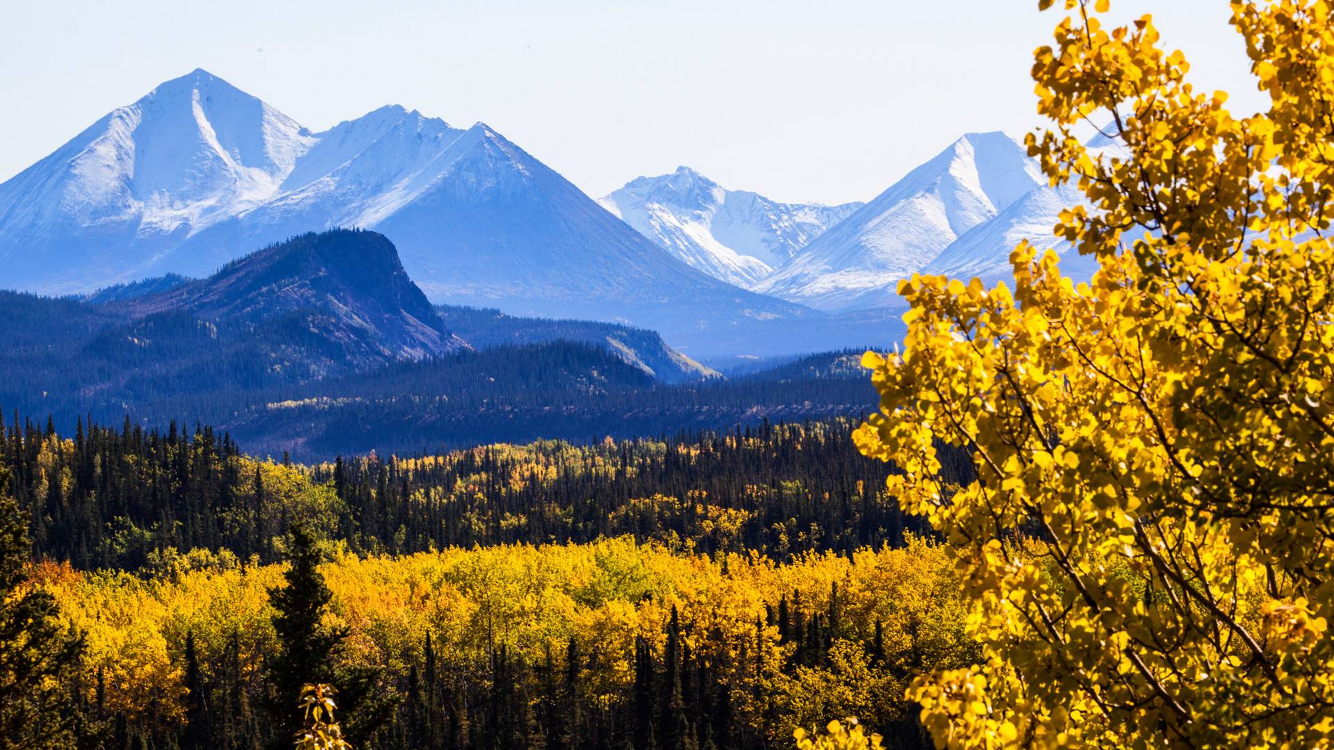 9-Day Alaska Family & Wilderness Explorer from Anchorage【Max 16 Pax Small Group+Meals】: Talkeetna, Seward & Denali National Park