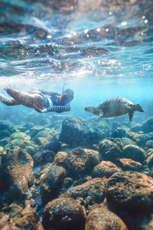 12-Day Ecuador and Galapagos Islands Tour from Quito: Tena, Baños, Santa Cruz Island, Isabela Island, San Cristobal Island | 11 Breakfasts, 6 Dinners